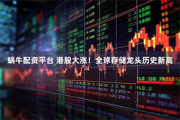蜗牛配资平台 港股大涨！全球存储龙头历史新高